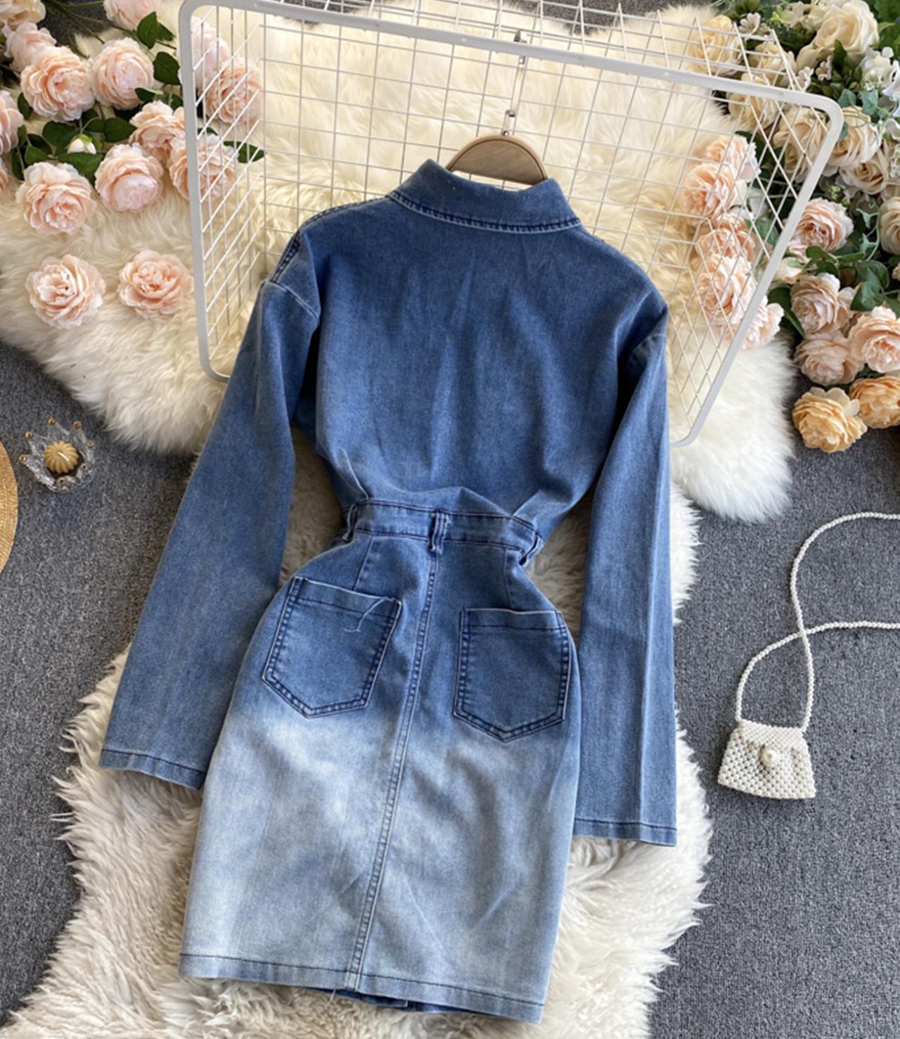 Stylish Denim Long Sleeve Dress on Luulla